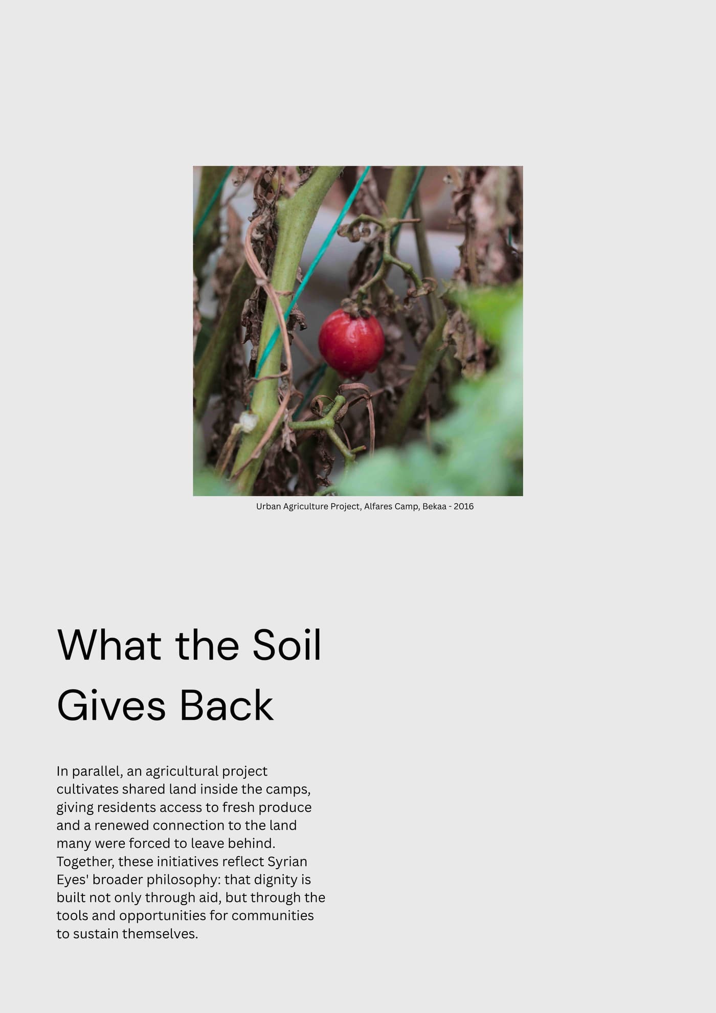 Booklet page 5